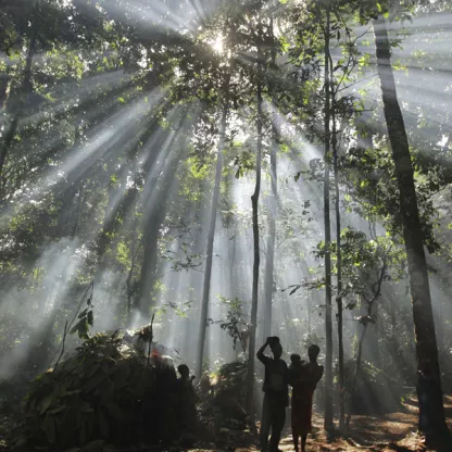 Rainforest scene with sunlight through trees and silhouetted local people