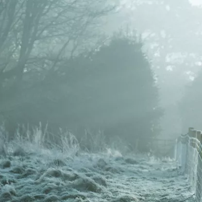 Frosty country path in light blue